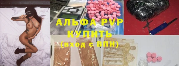 гашиш Богданович