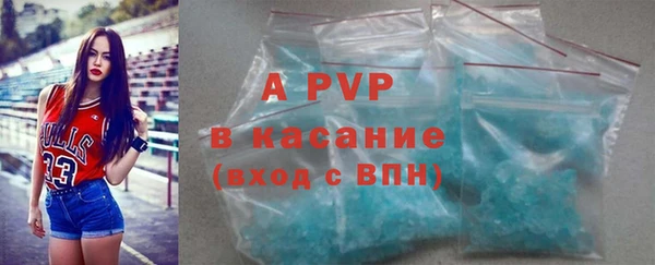 гашиш Богданович