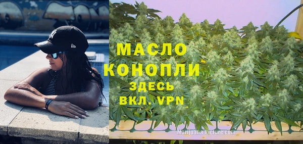 гашиш Богданович