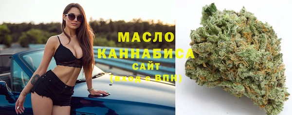 гашиш Богданович